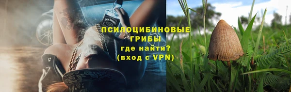 mdpv Белокуриха