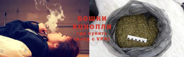 mdpv Белокуриха