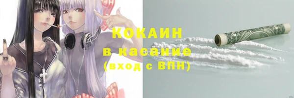 mdpv Белокуриха