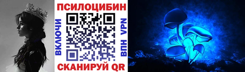 Галлюциногенные грибы Cubensis  Енисейск 